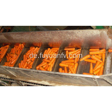 Frische hochwertige Karotte